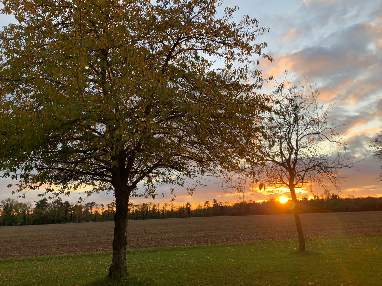 Picture of a sunset in the Cotswolds