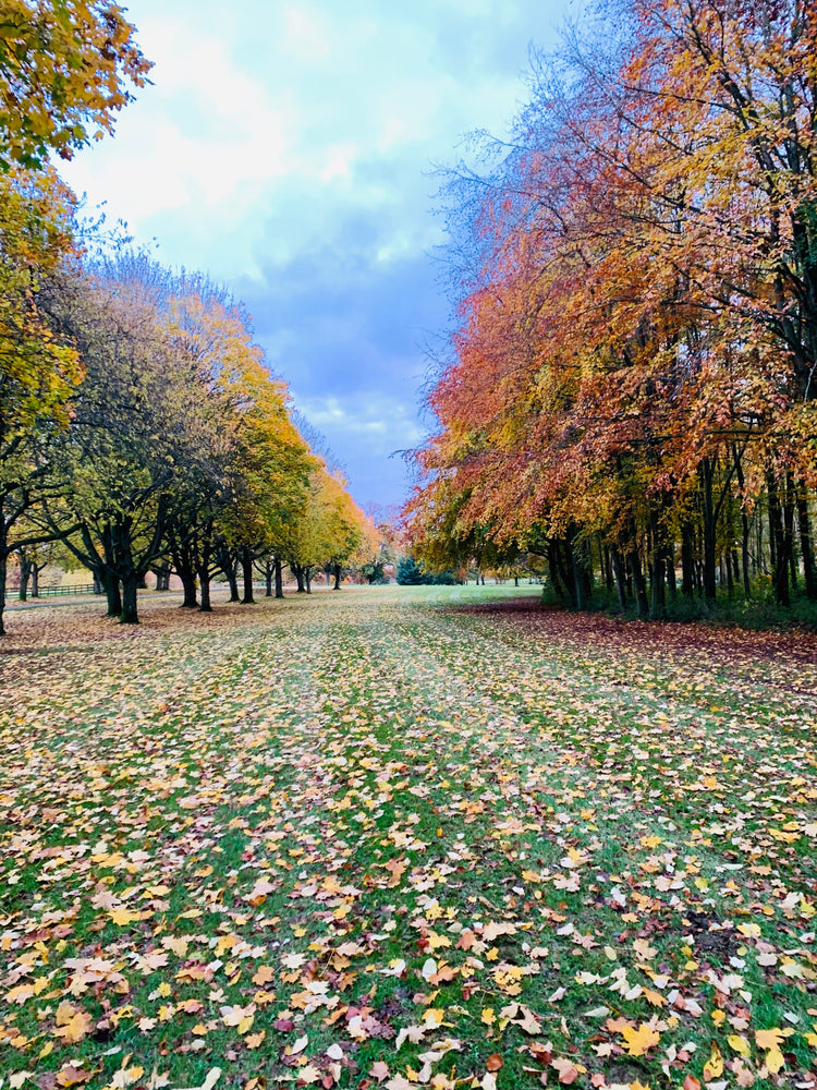 Cotswolds in Autumn original photograph by Pauline Freegard